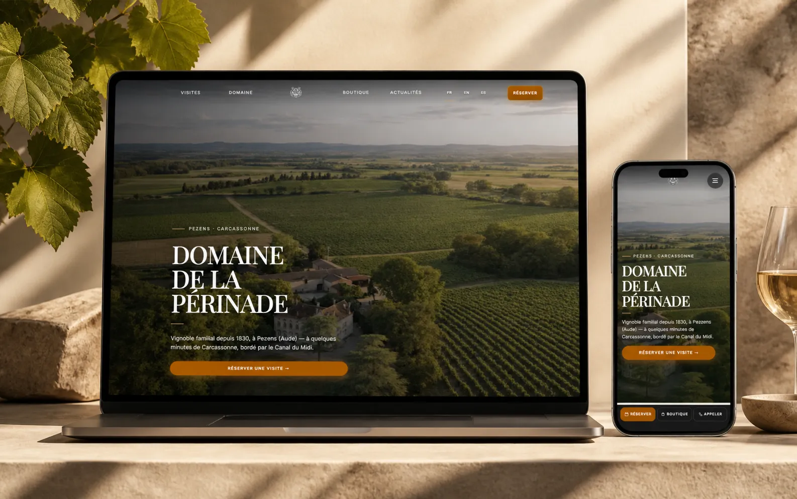 Domaine de la Périnade — site web Périnade sur MacBook dans les vignes